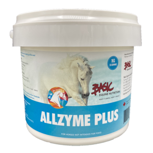 Allzyme Plus 1 kg - probiotic for horses