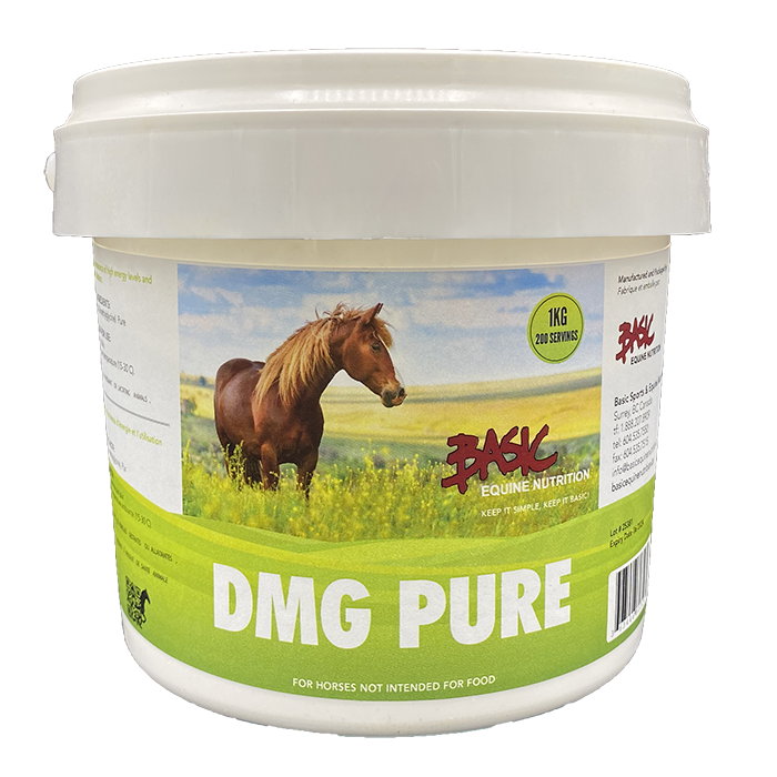 DMG Pure - 1 kg