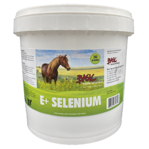 Vitamin E + Selenium - 2kg
