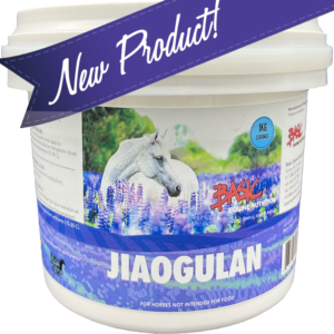 New Product - Jiaogulan for horses