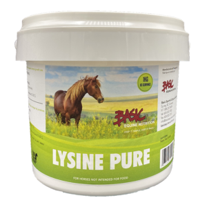 Lysine Pure - 1 kg - essential amino acid supplement for horses