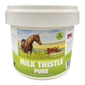 Milk Thistle - 1 kg - detoxifier for horses