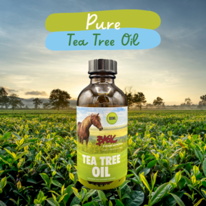 Pure Tea Tree Oil for Sale in Canada
