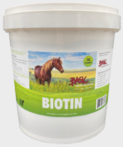 benefits of biotin for your horse