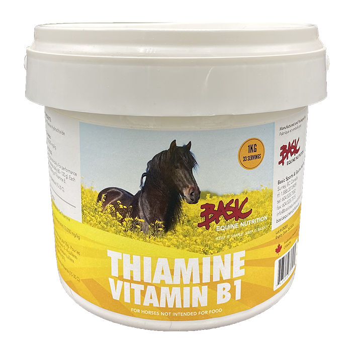 Thiamine (Vitamin B1) - 1 kg