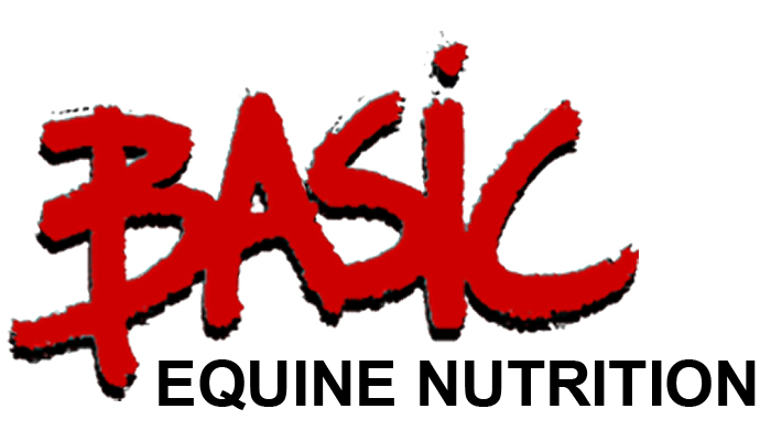 Basic Equine Nutrition logo